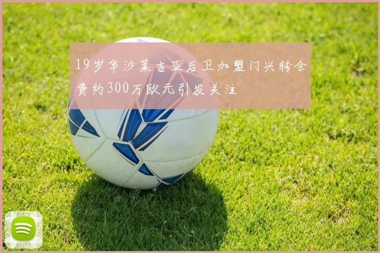 19岁华沙莱吉亚后卫加盟门兴转会费约300万欧元引发关注